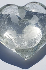 HeartClearWithPawprint